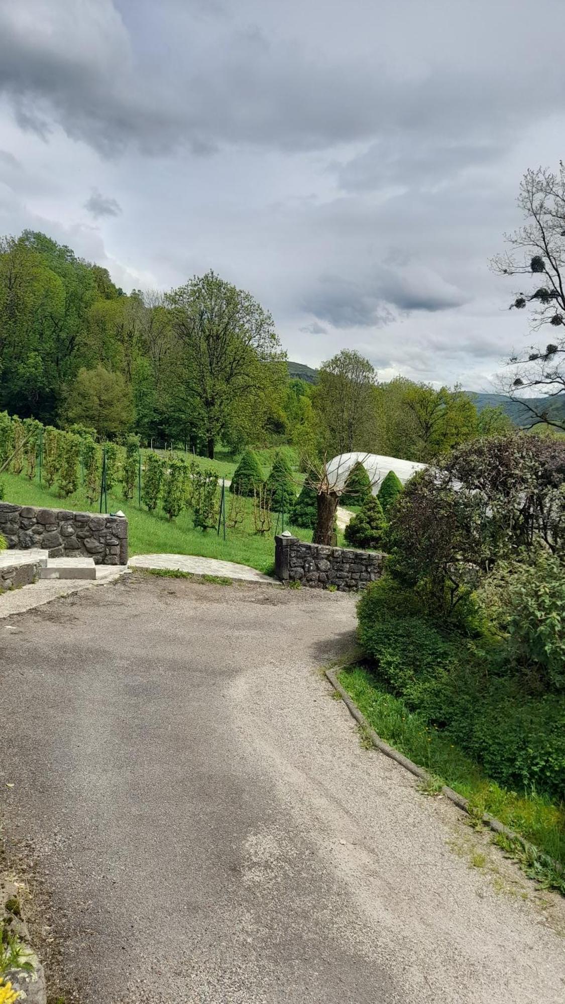 Chambre D'Hote Dans Le Cantal Vallee De La Maronne Saint-Martin-Valmeroux Kültér fotó